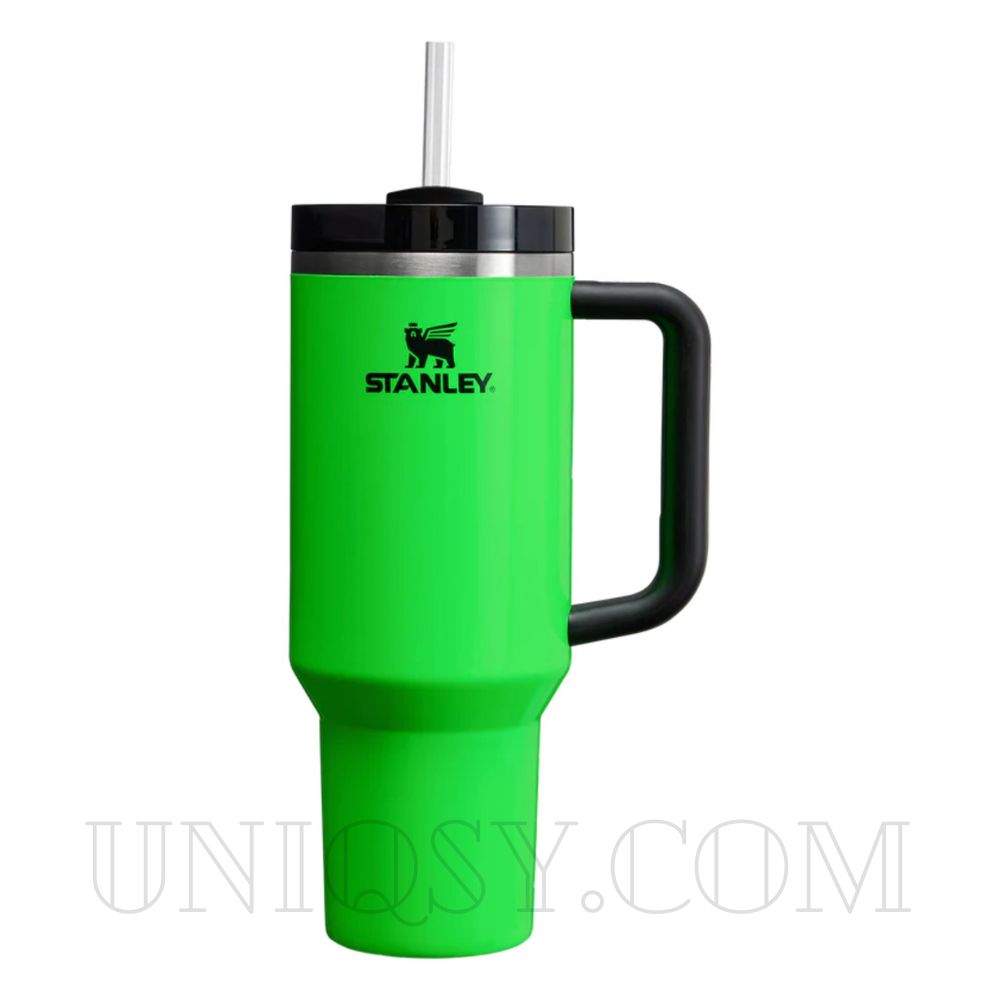 Stanley 40 OZ Tumbler Cup with Handle and Straw - Stainless Steel 1.1L