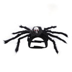Bat Wing Cat & Small Dog Halloween Pet Costume
