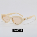 6023  Sunglasses with box