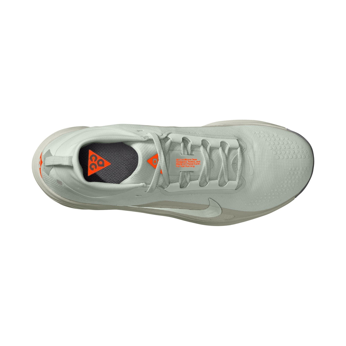 Men’s ACG Pegasus Trail GORE-TEX (003 - Light Silver/Light Silver-Light Army)