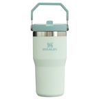 Stanley IceFlow™ Flip Straw Tumbler | 20 OZ