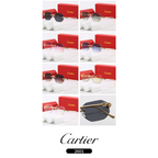 2601 Sunglasses with box