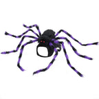 Big Spider Pet Halloween Costume